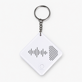 Pocket Voice Keychain