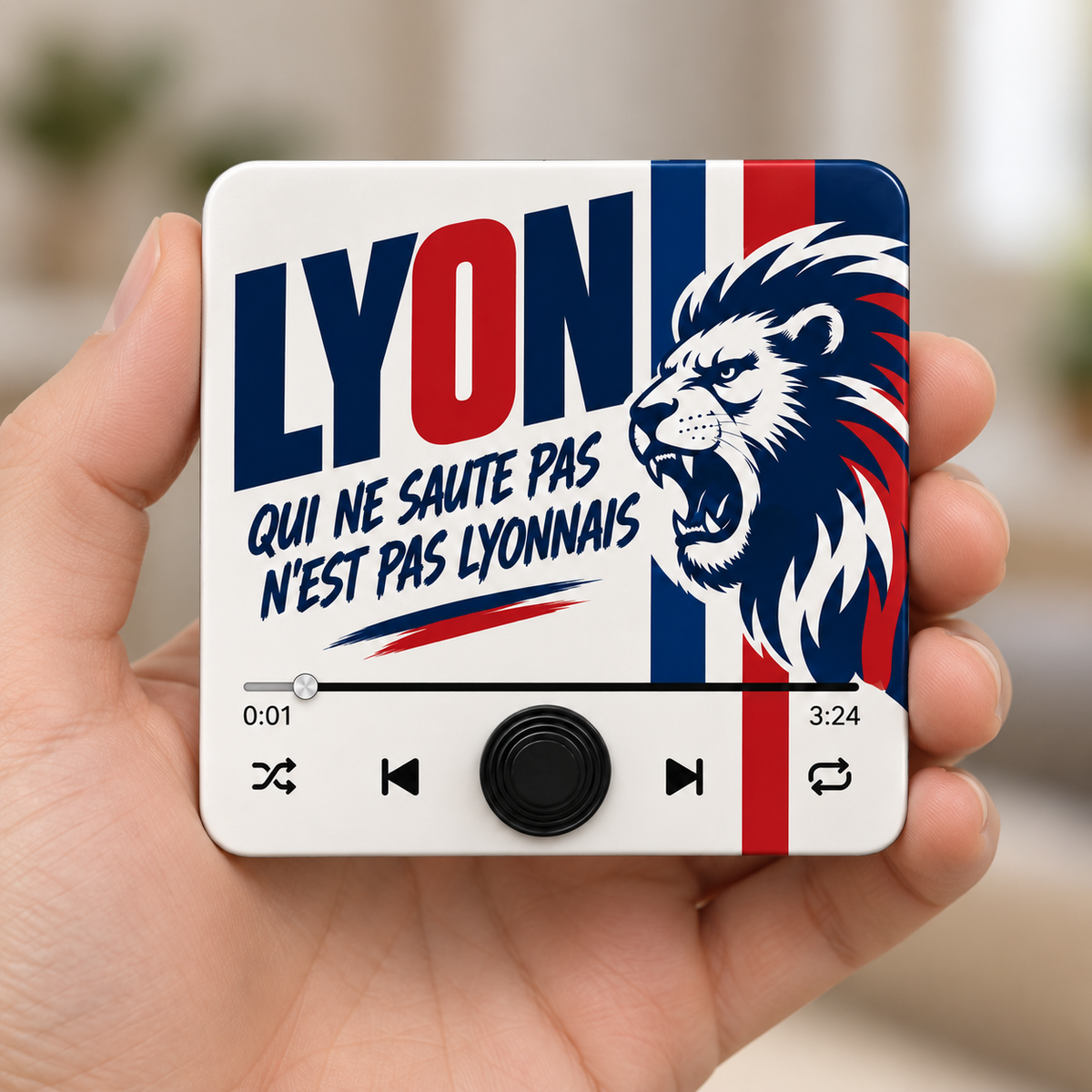 Magnet sonore Lyon - Qui ne saute pas n'est pas Lyonnais - tenu en main